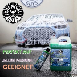 Chemical Guys CWS_110_16 Honeydew Snow Foam Auto Wash 16oz