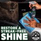 Chemical Guys CLD_202_16 Signature Series Glass Cleaner 16oz