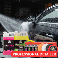 Professional Detailer