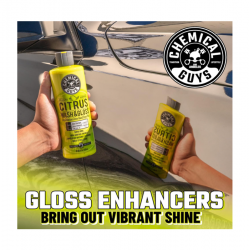 Chemical Guys CWS_301_16 Citrus Wash And Gloss Concentrated Car Wash (16 Oz) 
