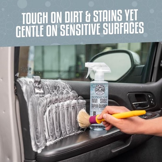 Chemical Guys SPI_993_16 Nonsense Colorless And Odorless All Surface Cleaner (16 Oz)